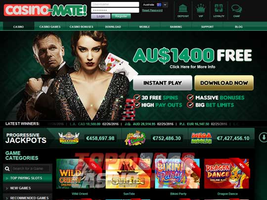 Casino Mate Screenshot 1