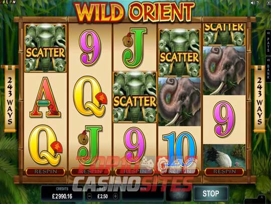 Casino Mate Screenshot 4